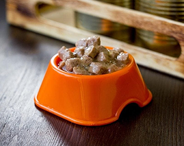 Nassfutter für Hunde