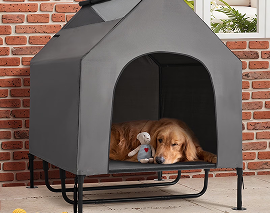 Hundehütten & Freilauf