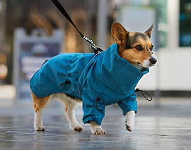 Hundebekleidung