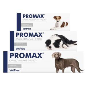 PROMAX Injektor