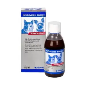 ReConvales® Energy 180 ml