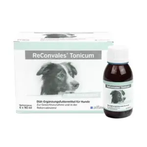 ReConvales® Tonicum Hund 6x90 ml